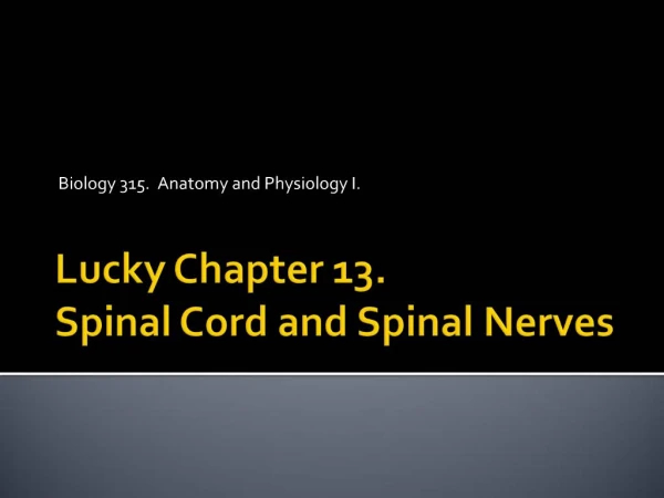 Lucky Chapter 13. Spinal Cord and Spinal Nerves