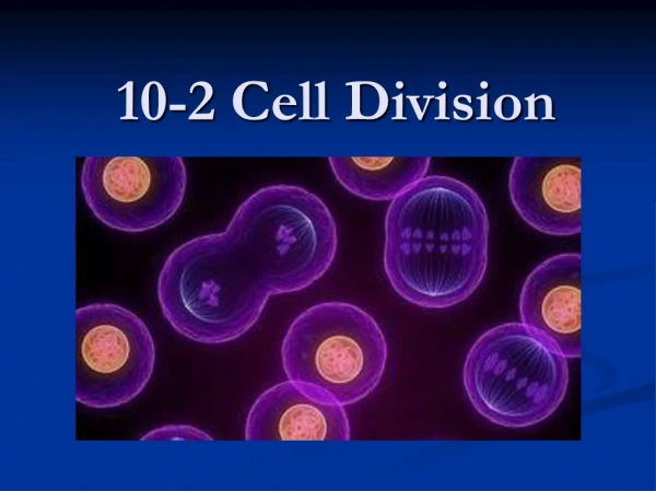 10-2 Cell Division