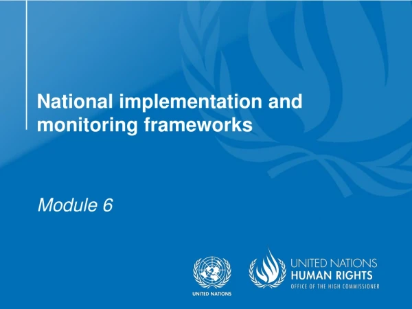 National implementation and monitoring frameworks