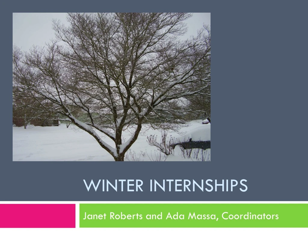 winter internships