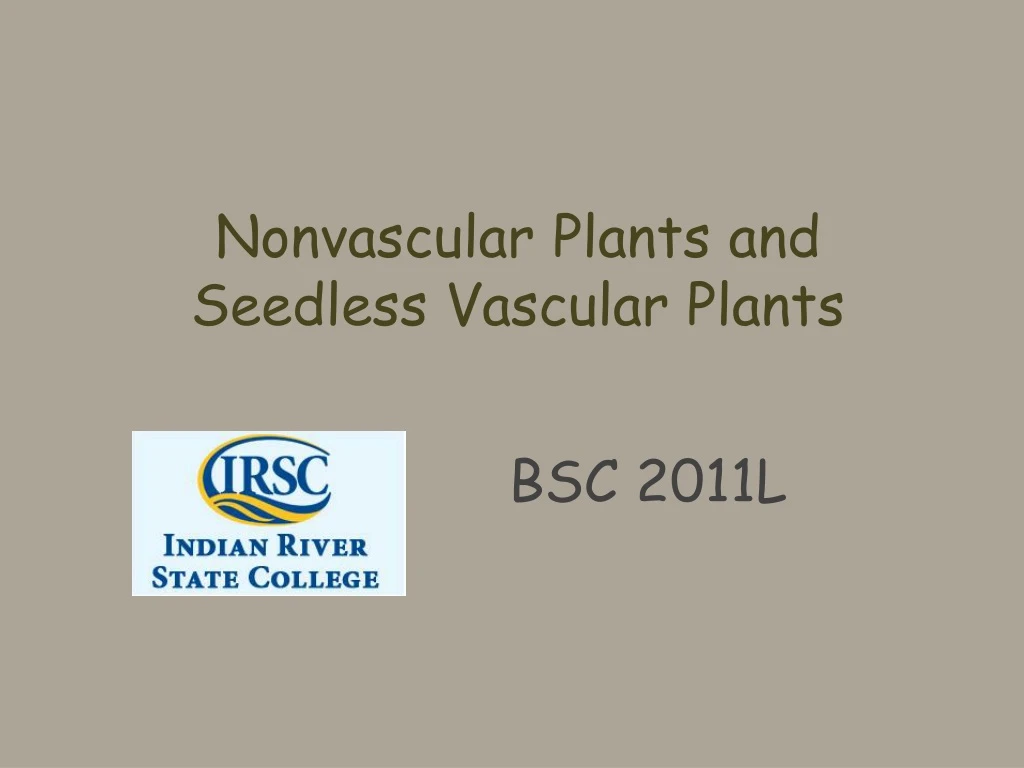 nonvascular plants and seedless vascular plants