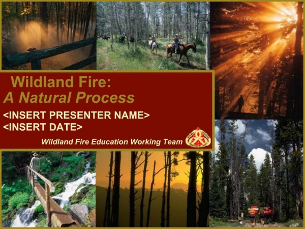Wildland Fire: A Natural Process