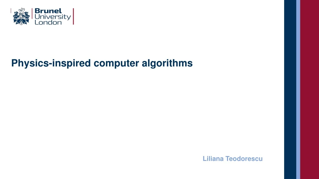 physics inspired computer algorithms