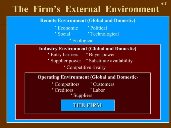 The Firm s External Environment