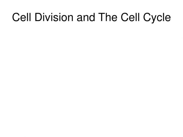 Cell Division and The Cell Cycle
