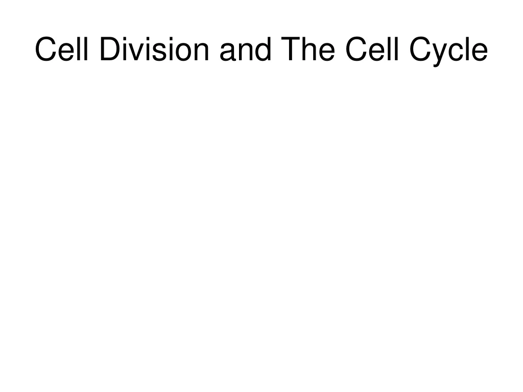 cell division and the cell cycle