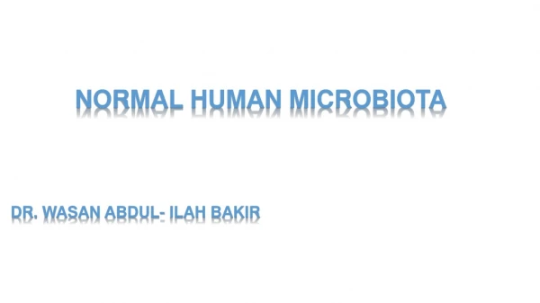 Normal human microbiota DR. wasan Abdul- ilah bakir