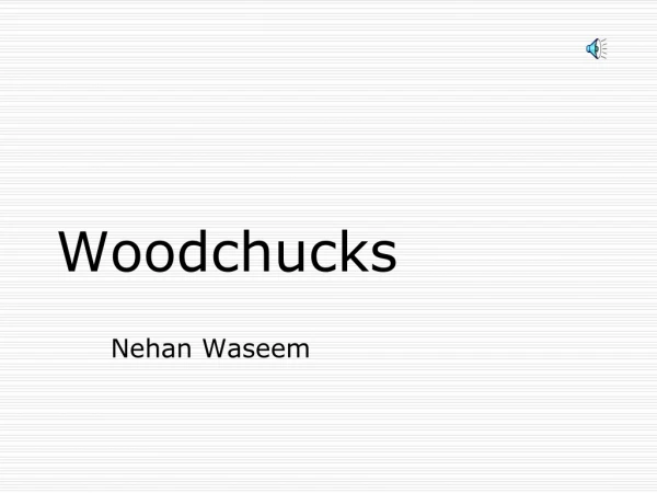 Woodchucks