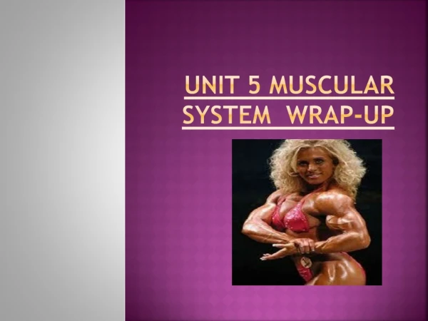 Unit 5 Muscular System Wrap-up