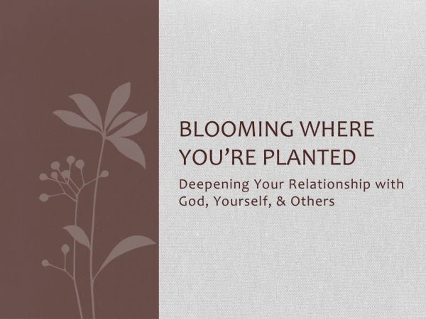 Blooming Where you’re planted
