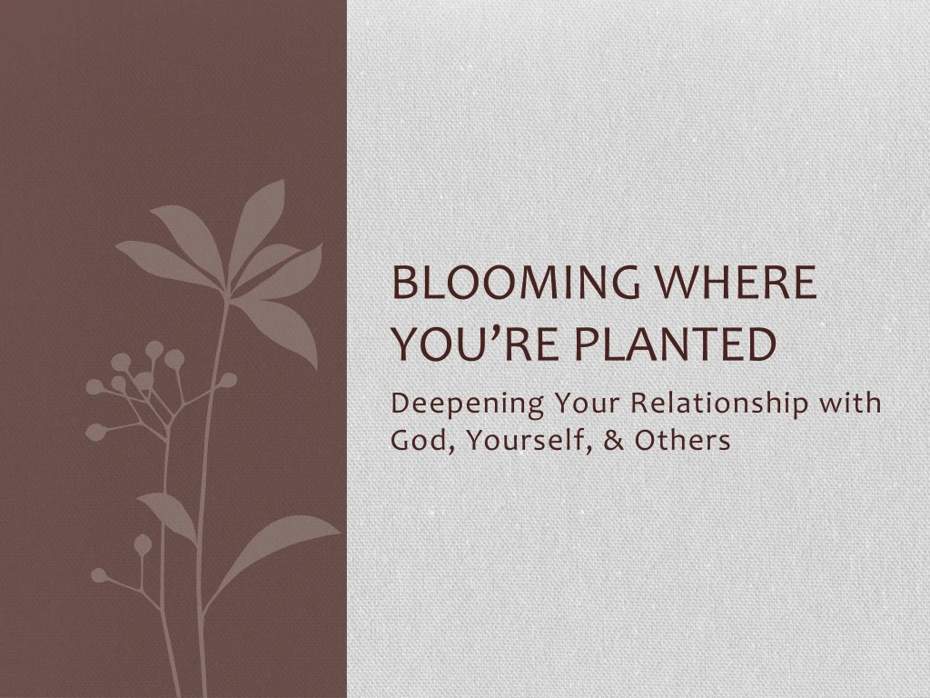 blooming where you re planted