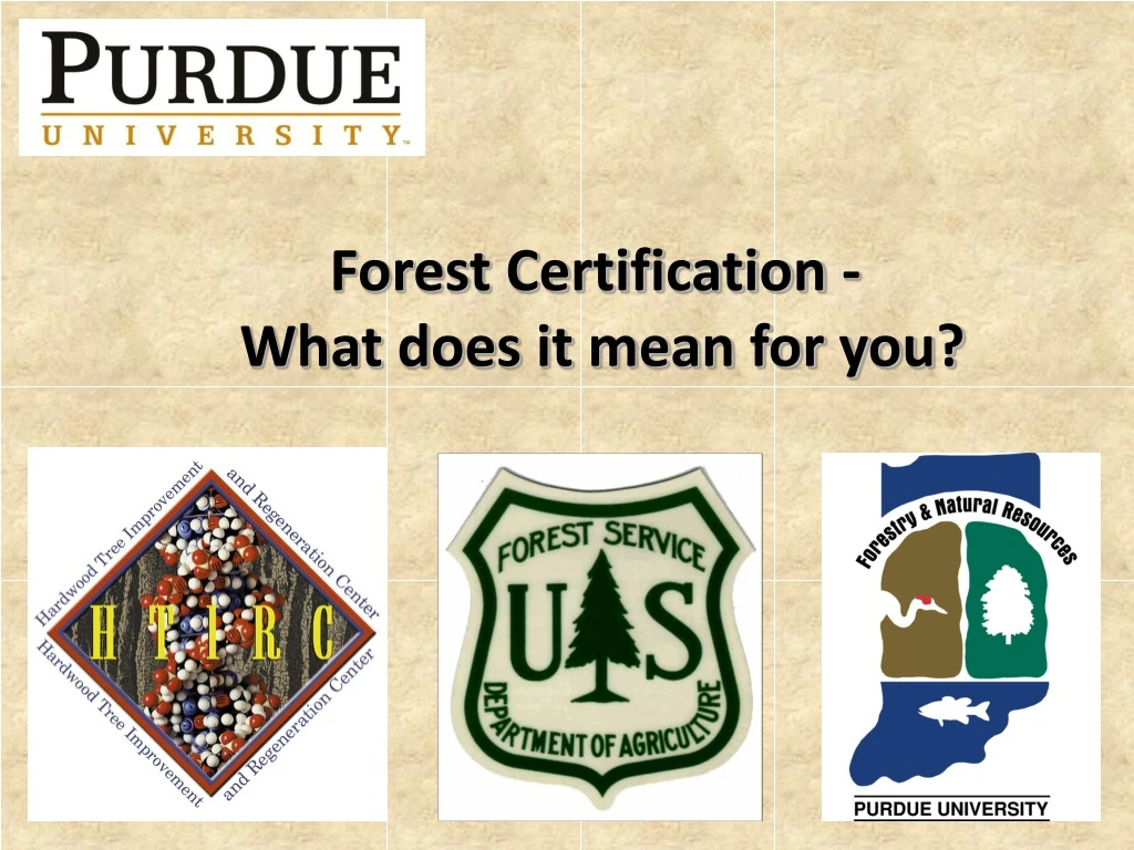 forest certification what does it mean for you
