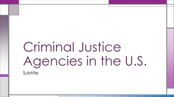 Criminal Justice Agencies in the U.S.