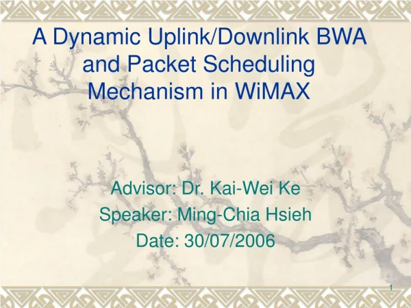 A Dynamic Uplink/Downlink BWA and Packet Scheduling Mechanism in WiMAX