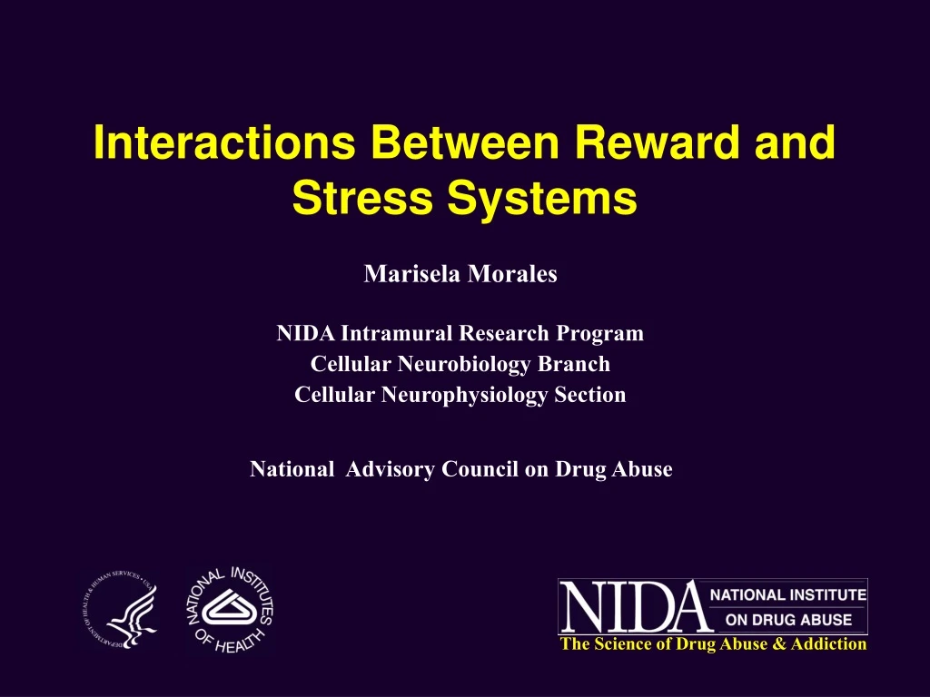 interactions between reward and stress systems