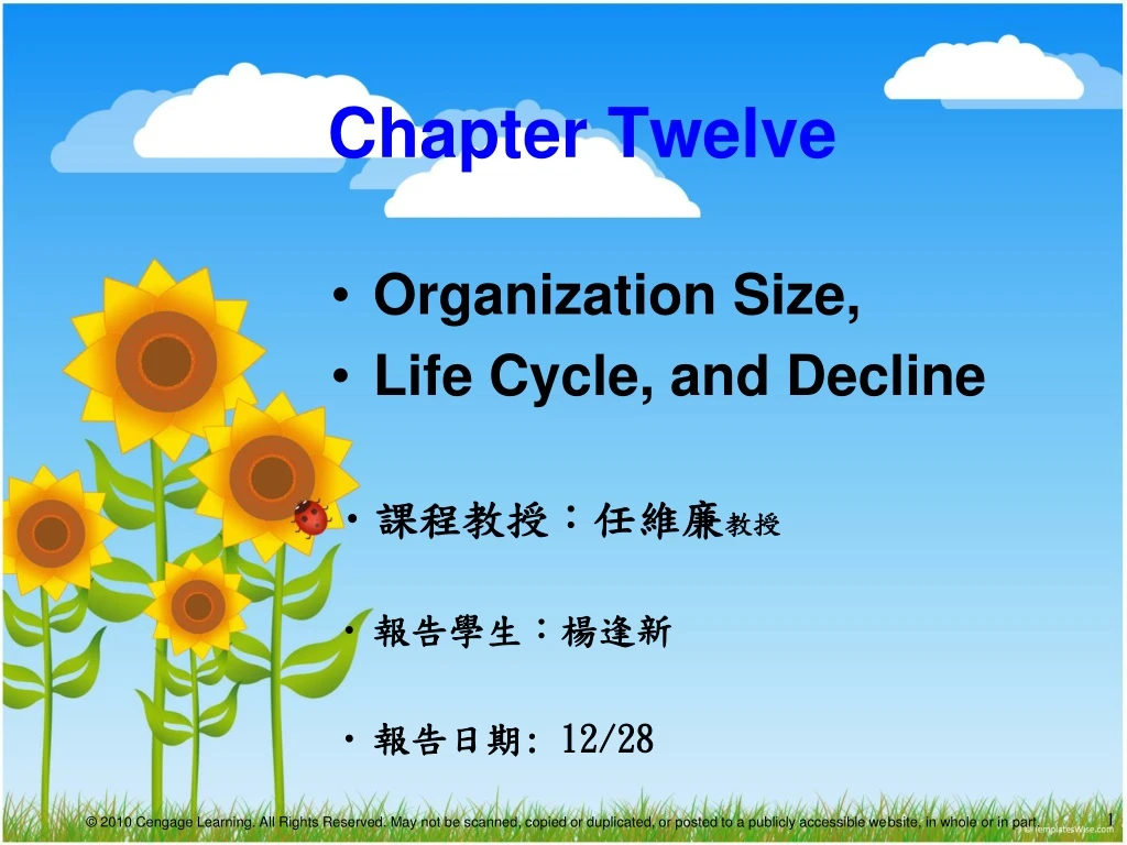 organization size life cycle and decline 12 28