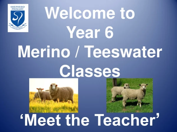 Welcome to Year 6 Merino / Teeswater Classes ‘Meet the Teacher ’