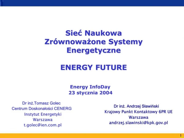 Siec Naukowa Zr wnowazone Systemy Energetyczne ENERGY FUTURE