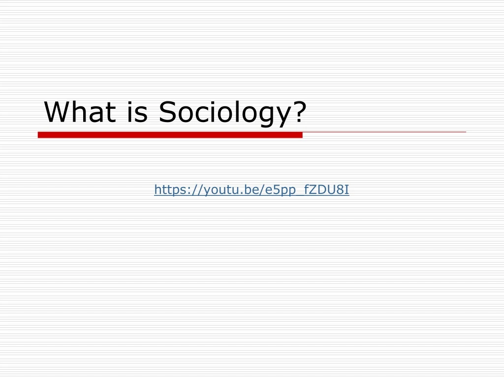 what is sociology