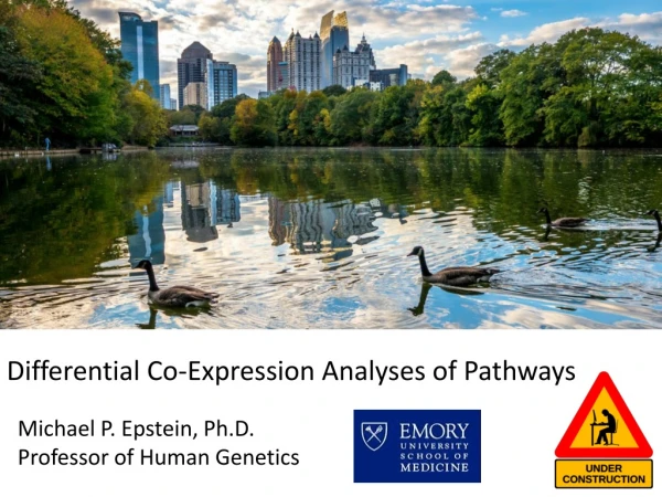 Differential Co-Expression Analyses of Pathways