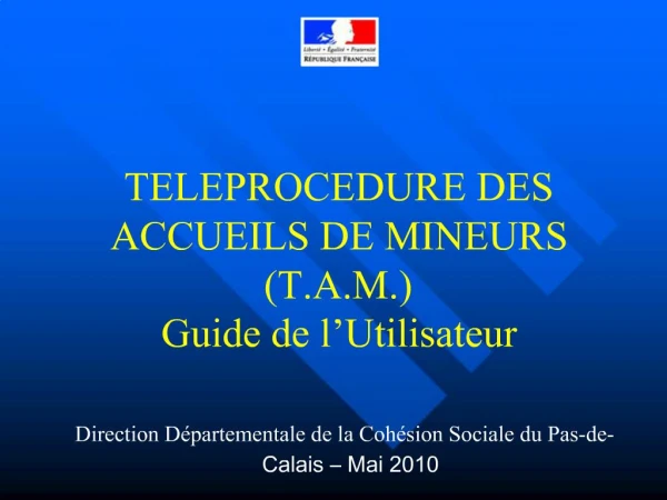 TELEPROCEDURE DES ACCUEILS DE MINEURS T.A.M. Guide de l Utilisateur