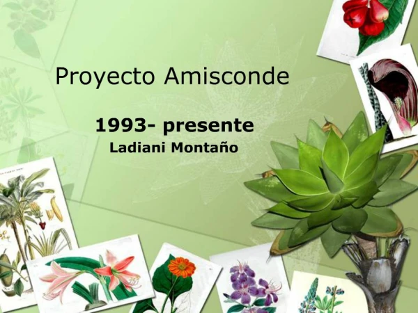 Proyecto Amisconde