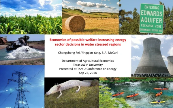 Economics of possible welfare increasing energy sector decisions in water stressed regions