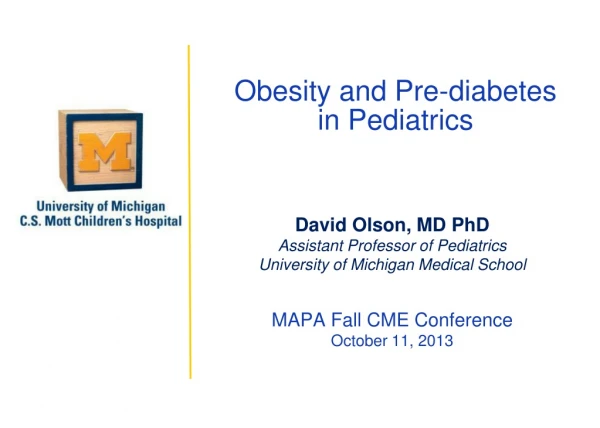 Obesity and Pre-diabetes in Pediatrics