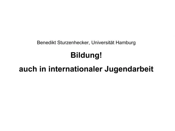 Benedikt Sturzenhecker, Universit t Hamburg Bildung auch in internationaler Jugendarbeit