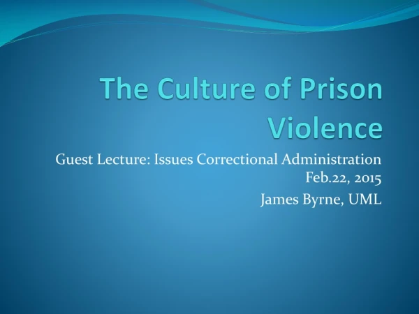 The Culture of Prison Violence