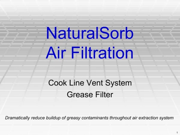 NaturalSorb Air Filtration