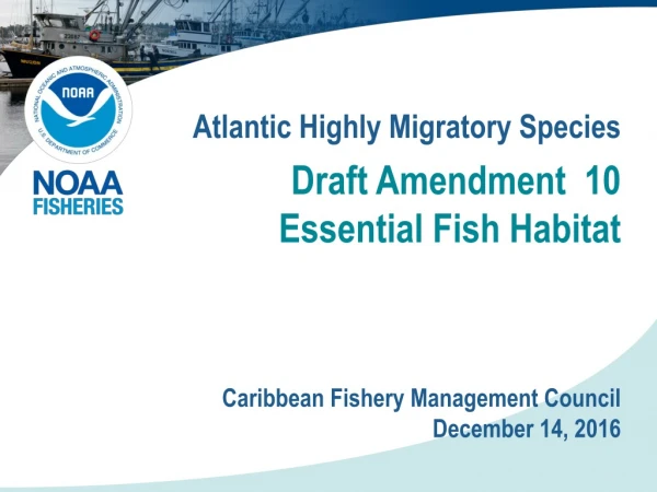 Draft Amendment 10 Essential Fish Habitat
