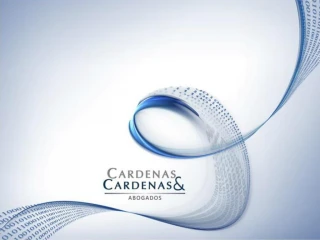 Presentaci - slide 1