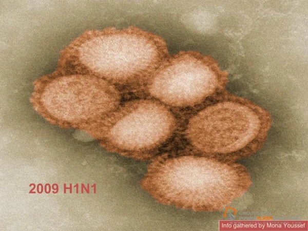 2009 Novel H1N1 updated