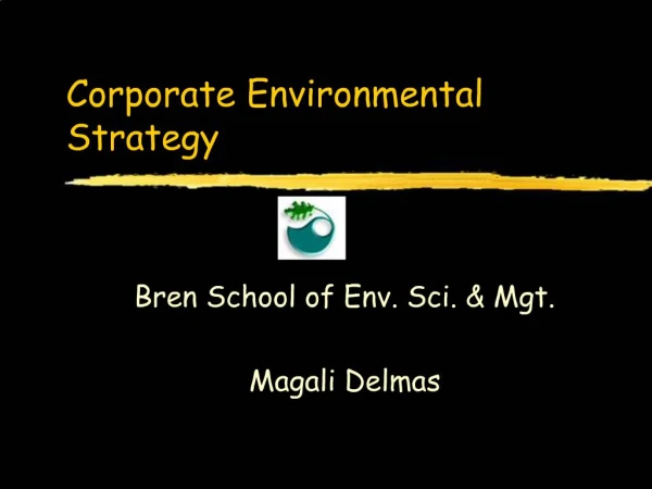 Corporate Environmental Strategy