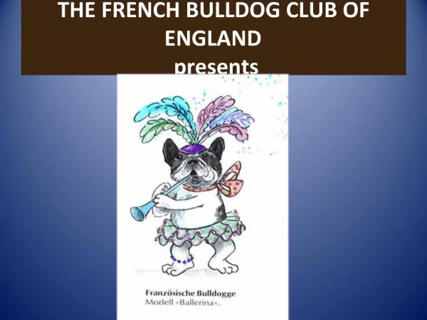 THE FRENCH BULLDOG CLUB OF ENGLAND presents