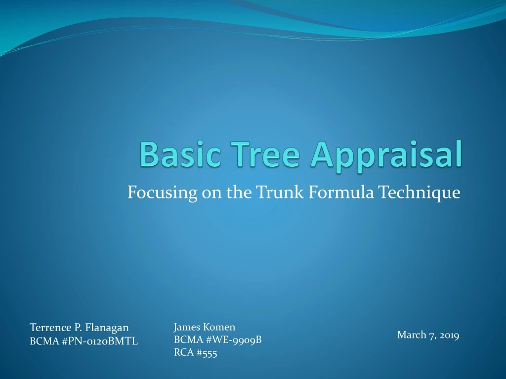 basic tree appraisal