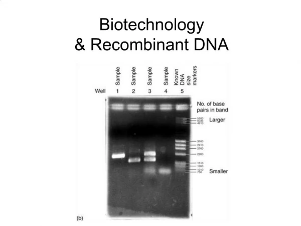 Biotechnology Recombinant DNA