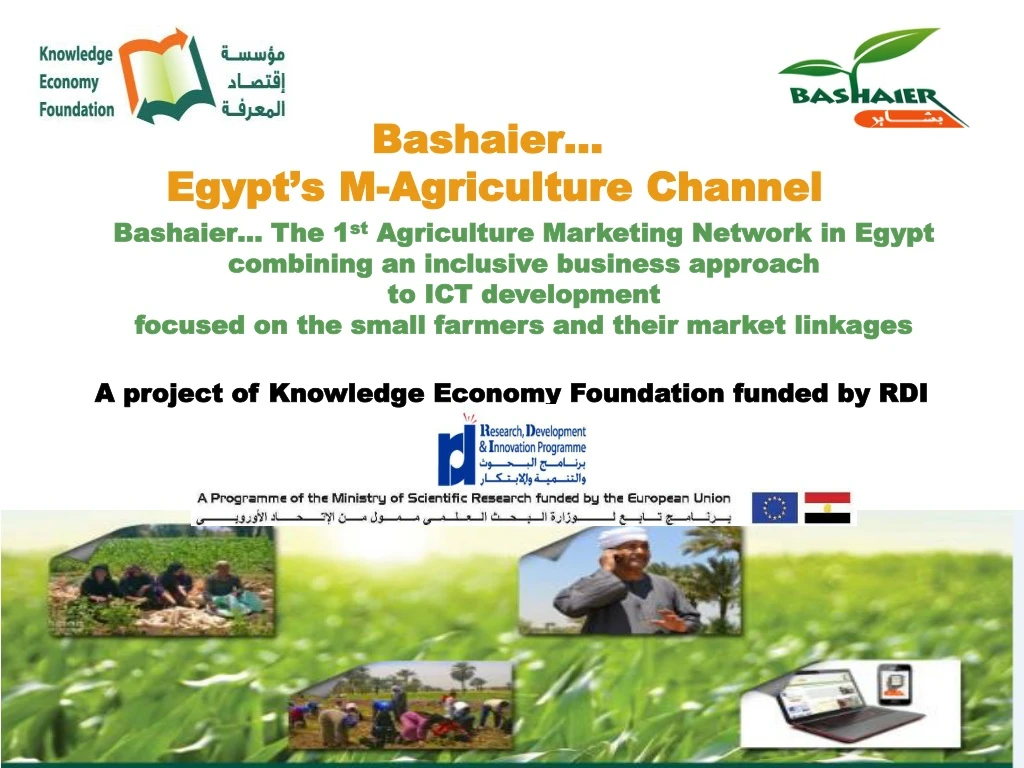 bashaier egypt s m agriculture channel