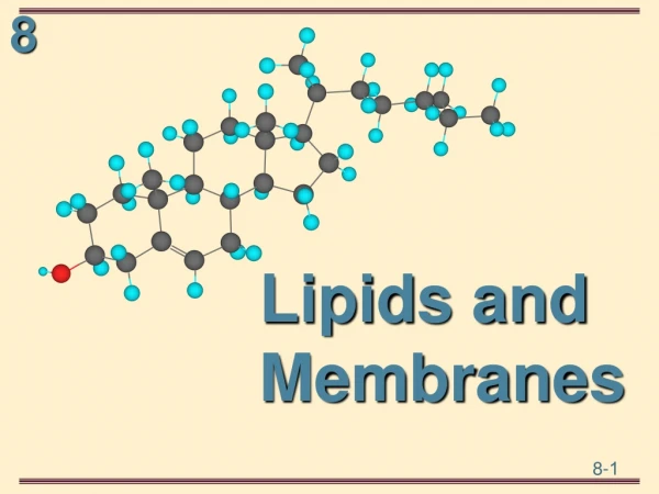 Lipids and Membranes
