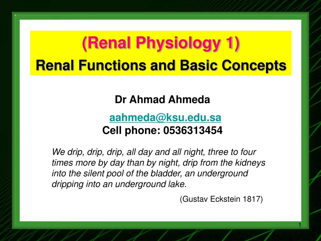 renal physiology 1 renal functions and basic