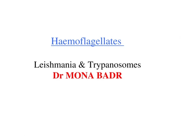 Haemoflagellates Leishmania &amp; Trypanosomes Dr MONA BADR