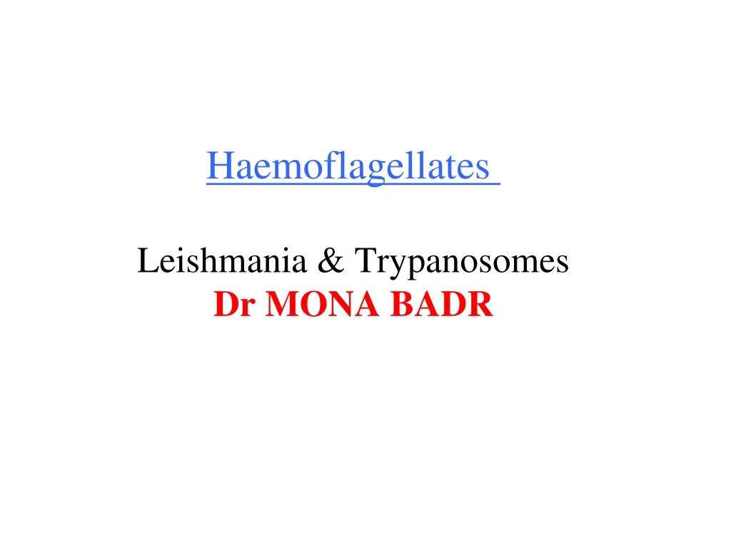 haemoflagellates leishmania trypanosomes dr mona badr