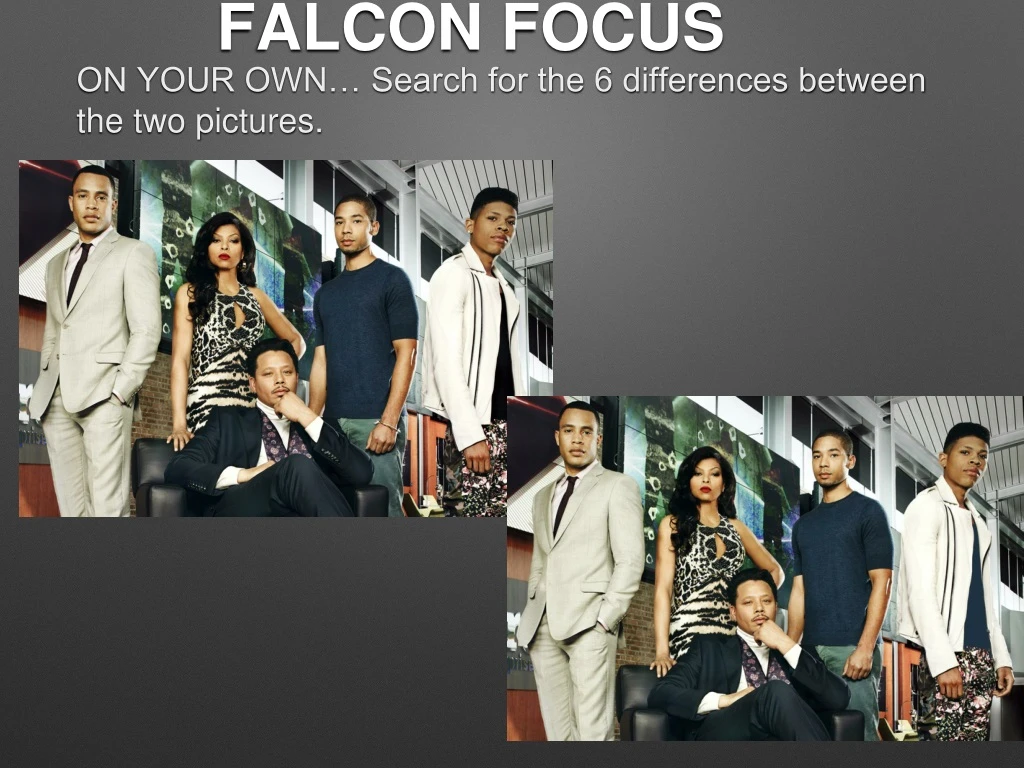 falcon focus