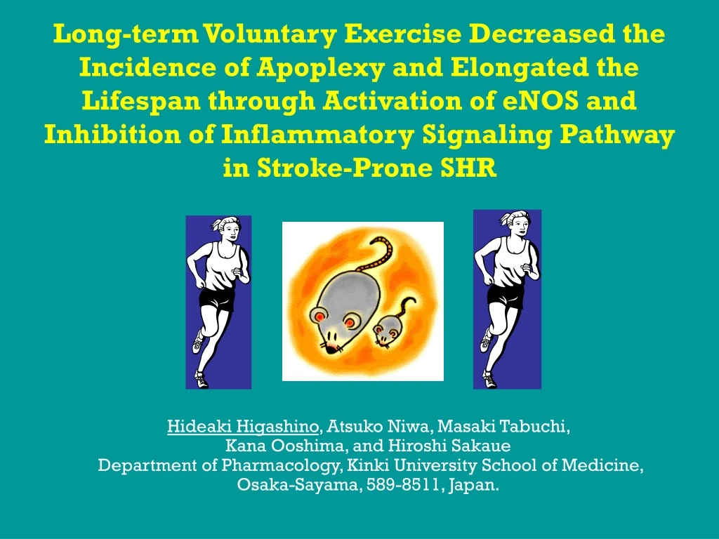 long term voluntary exercise decreased