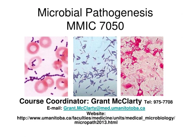 Microbial Pathogenesis MMIC 7050