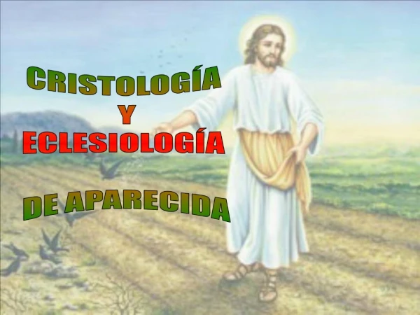 CRISTOLOG A Y ECLESIOLOG A DE APARECIDA