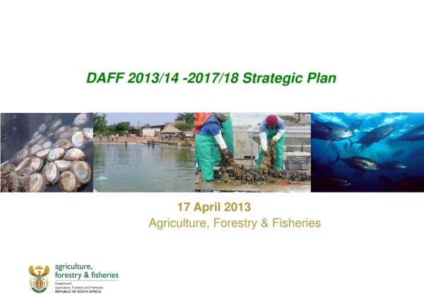 DAFF 2013/14 -2017/18 Strategic Plan