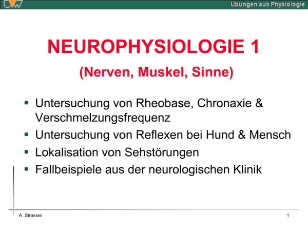 NEUROPHYSIOLOGIE 1 Nerven, Muskel, Sinne