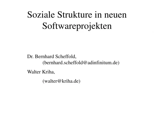 Soziale Strukture in neuen Softwareprojekten